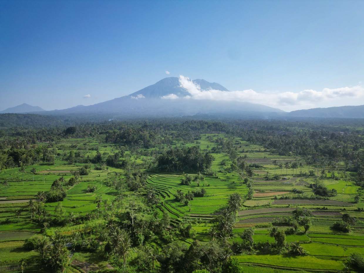 Bali's central highlands rising toward the volcanic peaks
